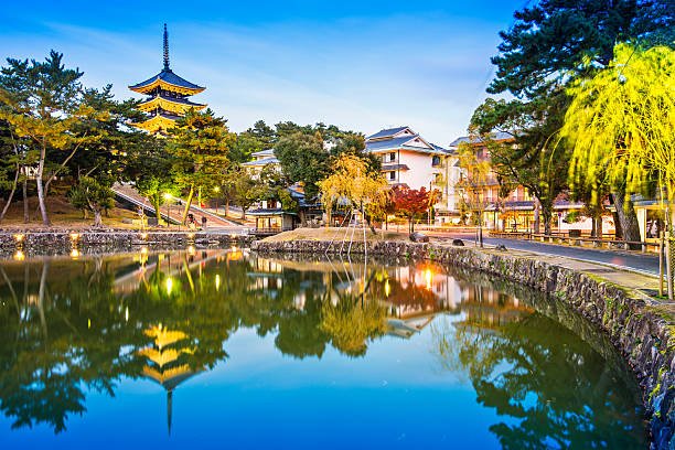 Nara Deer Park Tour - Image 3